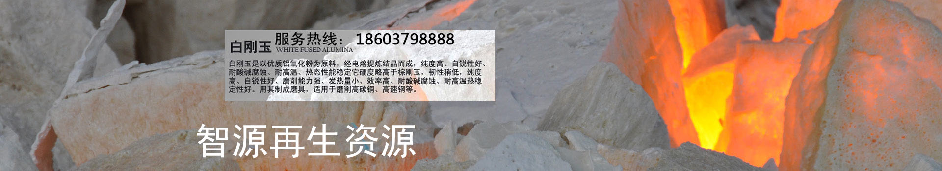 开云网页登录口